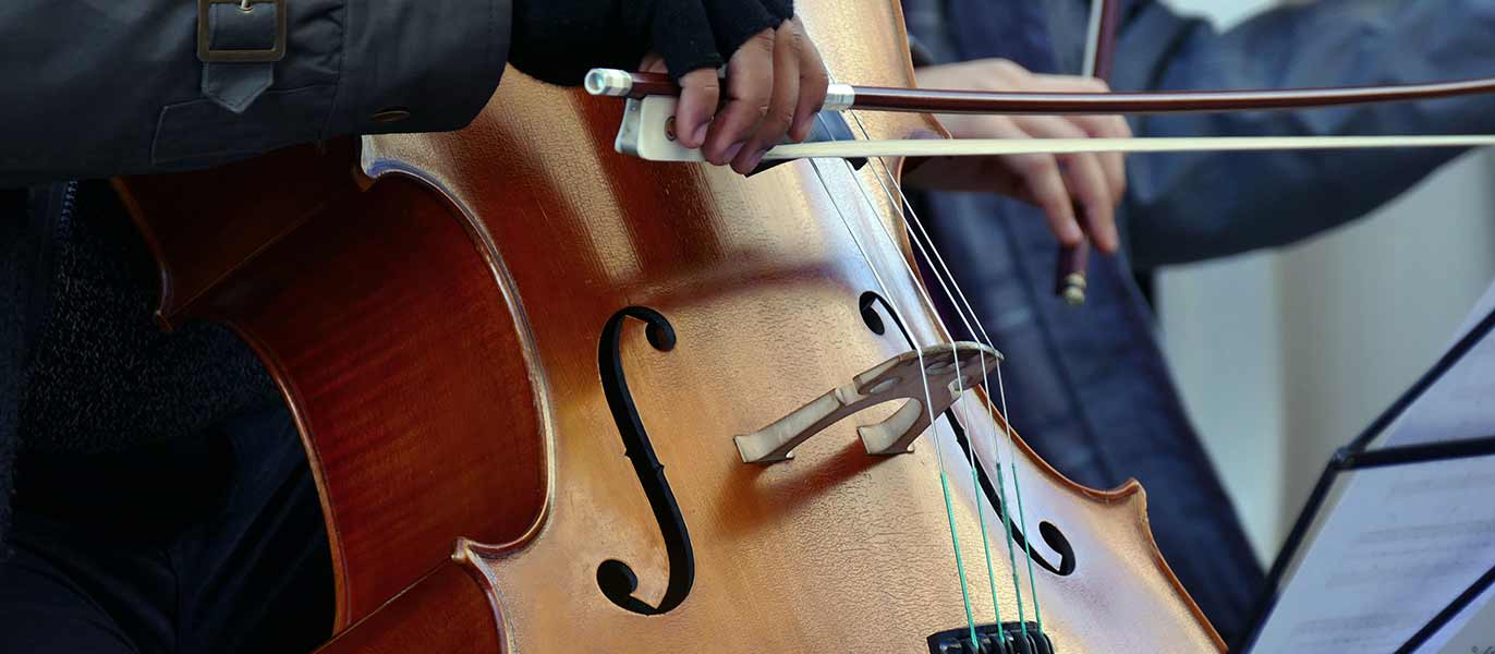 Festival la Vie en Musique