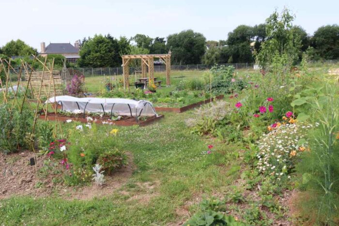 vue d'un un jardin potager et fleuri