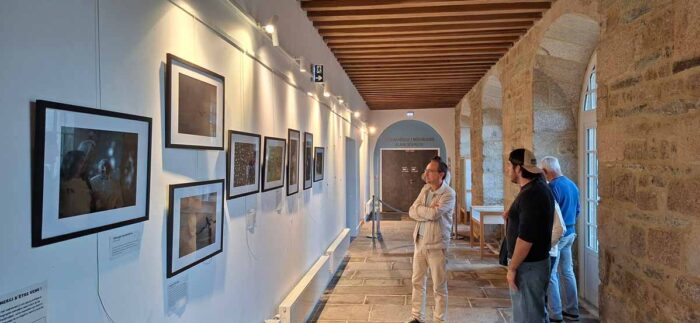Exposition « Faune Bretonne »