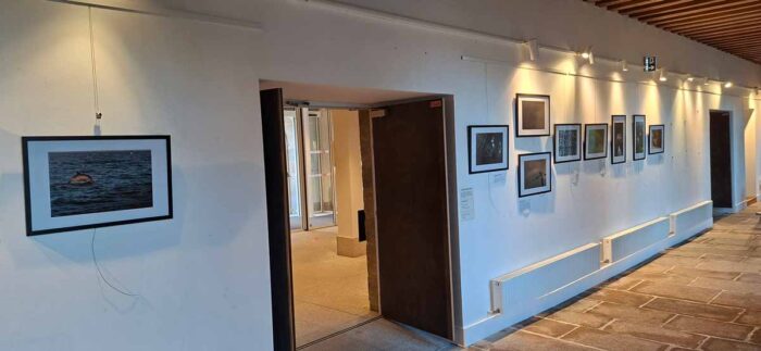 Exposition « Faune Bretonne »